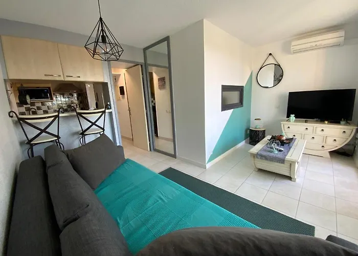 appartement T2 climatisé avec piscine secteur richelieu